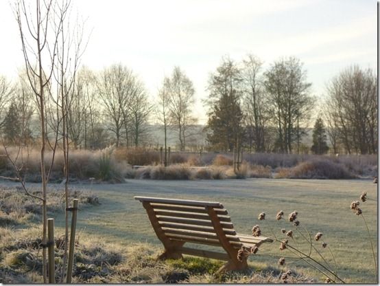 soft light on the garden