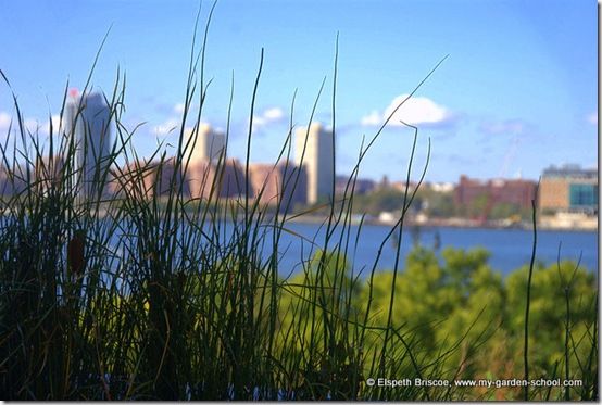 New York's High Line garden is a masterclass in urban regeneration