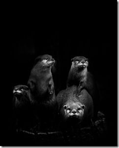 VX4C2891-Edit