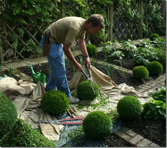 Trimming box