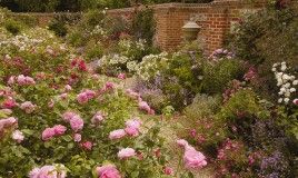4. Mixed Border in Private Garden