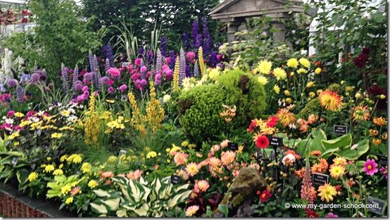 Hilliers Stand Great Pavilion Chelsea Flower Show 2014