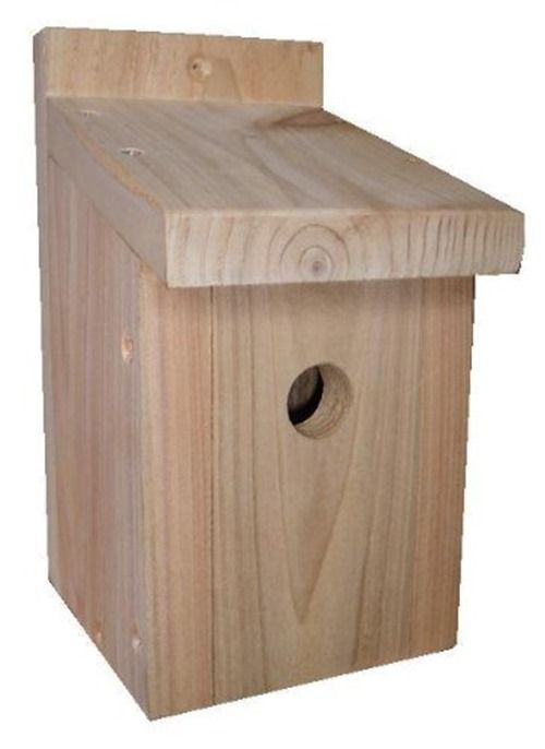 Buy best sale bird boxes