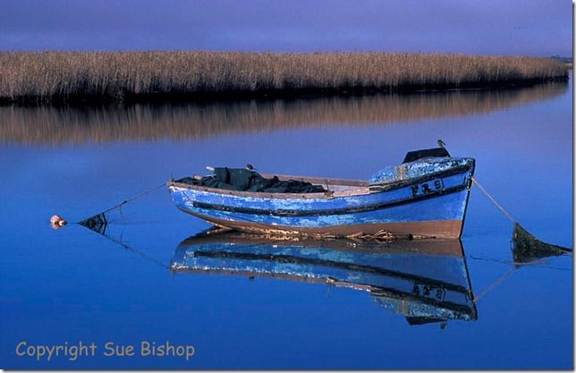 blue boat