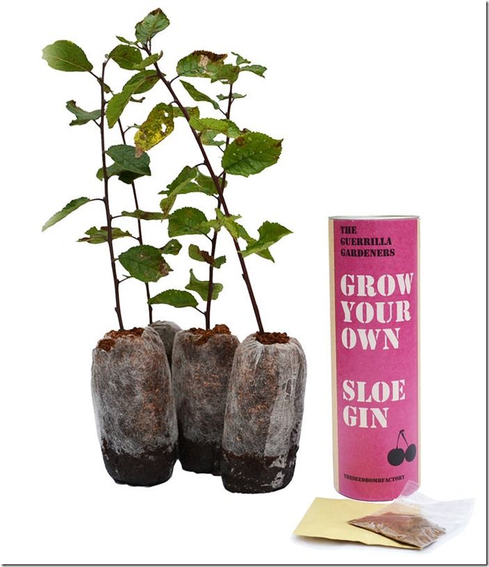 10 Grow-your-own sloe gin