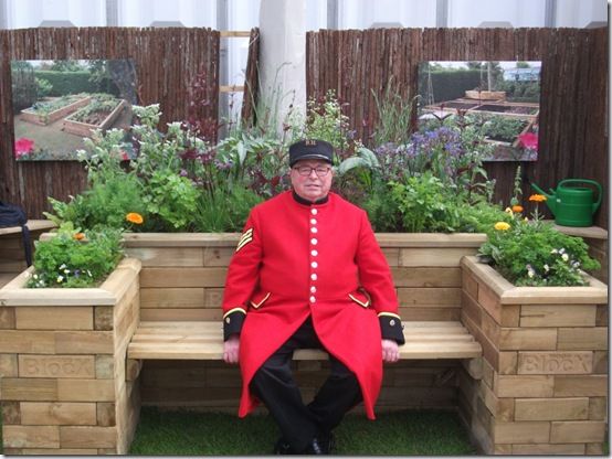 Chelsea Pensioner