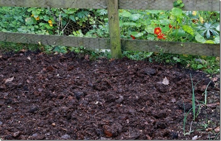 6 Compost on the vegetable plot