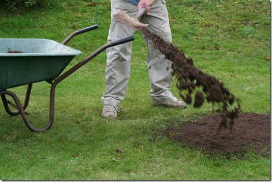 Lawn Dressing Spreading 