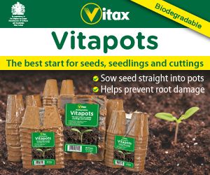 My-garden-school-advert-3 (1)