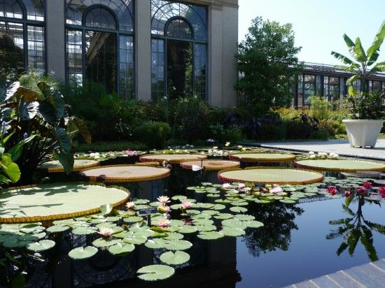 Longwood Lilypond Garden