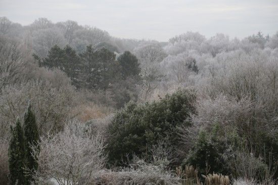 6 Frosty morning (1280x853)