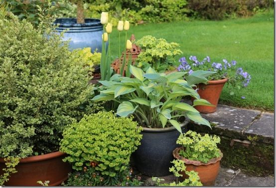 Pots grouped on steps