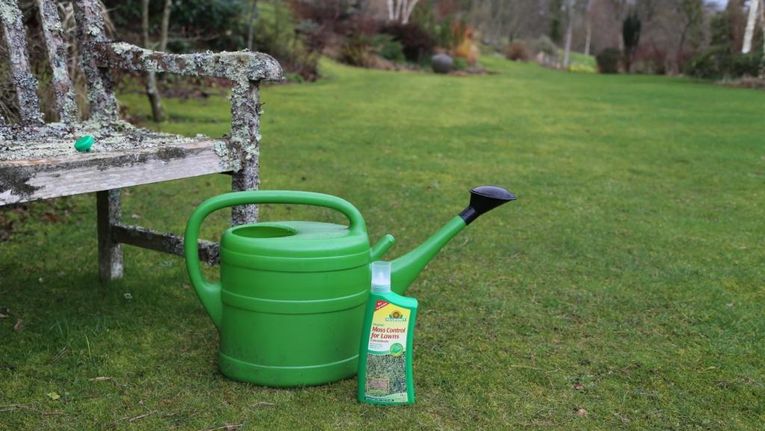 Moss Flower Watering Can