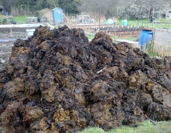 2 A heap of manure