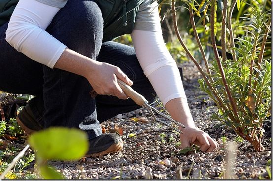 pic. 8 weeding-fork-lifestyle