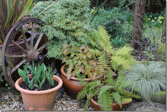 Group of pots in shade