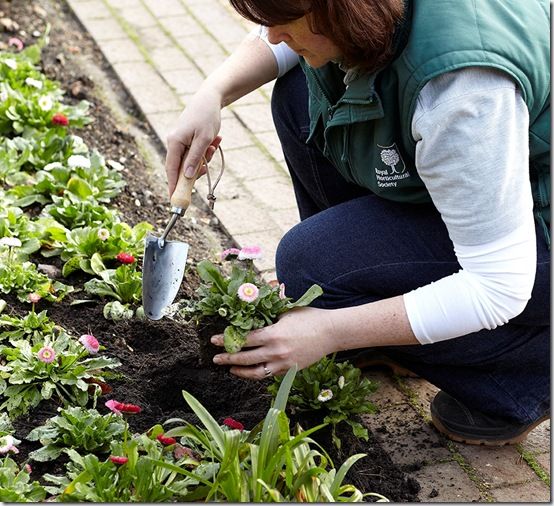 pic. 10 hand-trowel-lifestyle