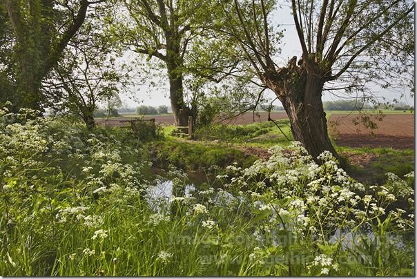 Farmland near Street, Somerset, Great Britain., How to Publish a Photography Calendar, How to publish a calendar, Printing, selling, photography, landscape