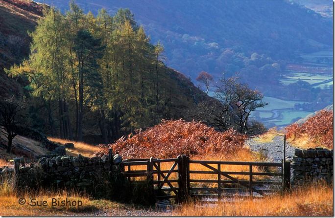 lake district gate shut