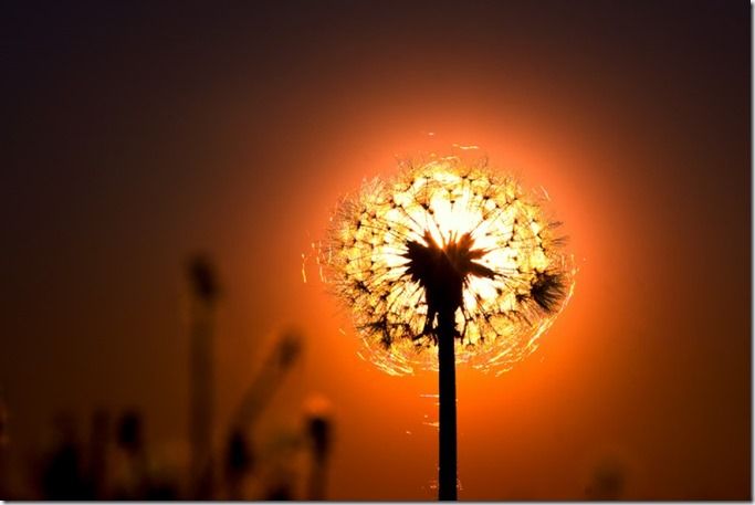 MyPhotoschool Monthly Photo Competition Winner Entry by: Kasia Sokulska