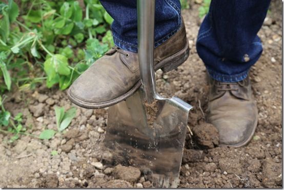 pic. 2 Treaded digging spade 