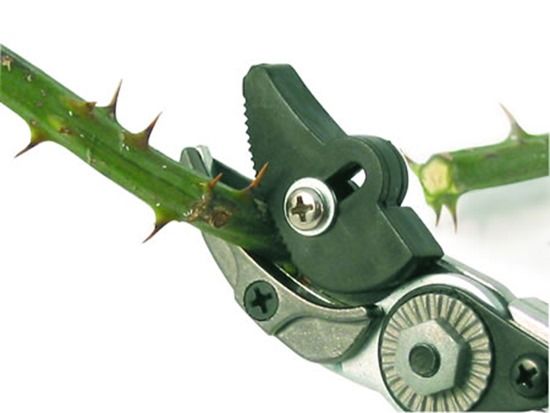 6 Cut and hold secateurs