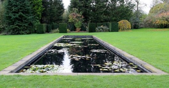 Lily canal