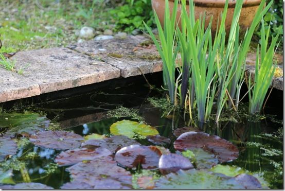 Formal pool