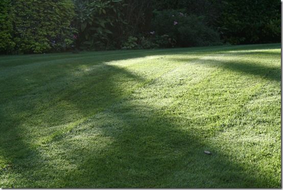 Lawn shadows