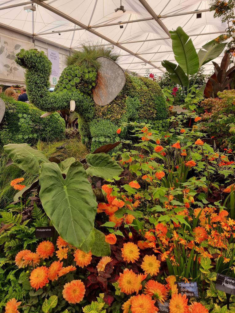 Chelsea Flower Show 2021: Floral Foam Banned From All RHS Shows
