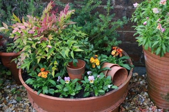 Wallflowers and Viola Sky Martien