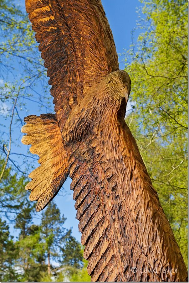 Carving of a Red Kite by Tommy Craggs in the Thornley Woods Sculpture Trail, Paddock Hill, Gateshead, Tyne and Wear, England