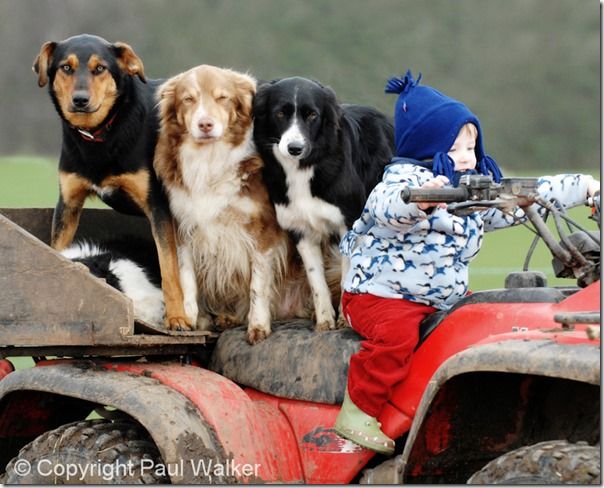 children, pet, photography, portraits, portrait, props, Play, How to Photograph Children, How to Photograph Pets, dogs, kids, girls, boys, umbrella, cats, babies, 