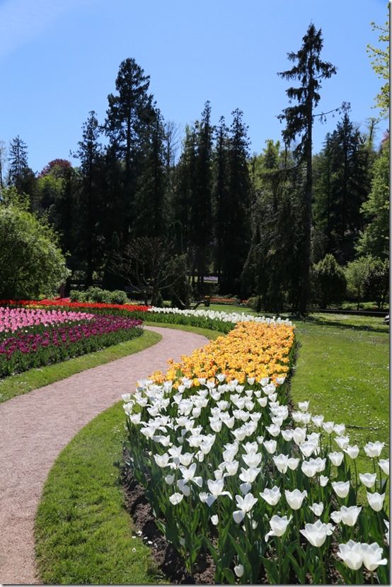 12 Tulipa Villa Tarranto