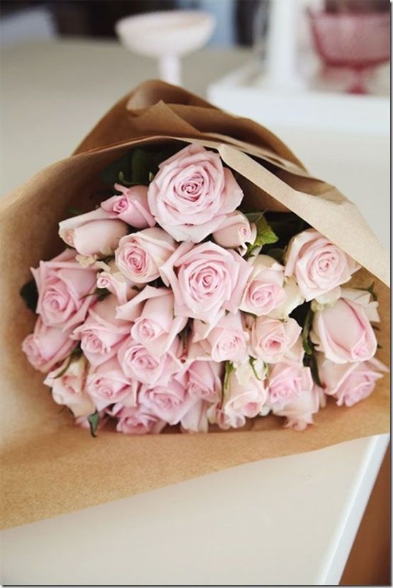 Pink Roses on Pinterest