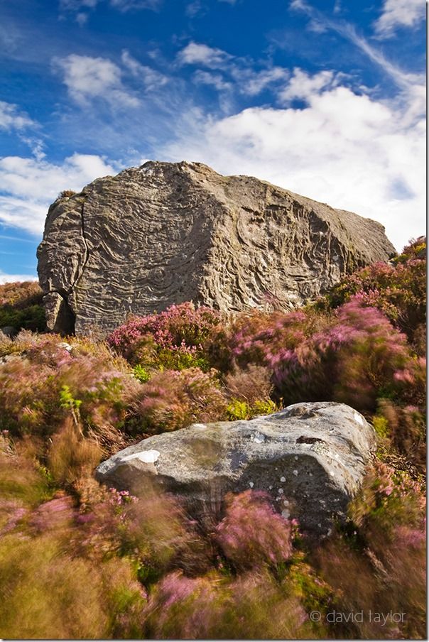 Windblown heather on the slopes of Harbottle Moor in the Northumberland National Park, England, hiking safety, hiking essentials, hiking safety tips, what to wear hiking, navigational aids, landmarks, Warm, cold, weather, climate, snow, heat, exhastion