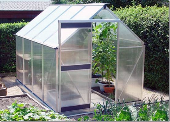 What Greenhouse Should I Buy?