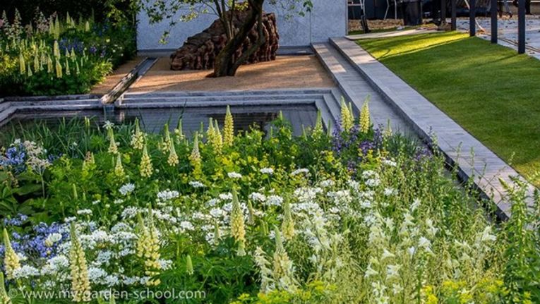 Chelsea Flower Show 2014 Winners Announced Gardening Learning