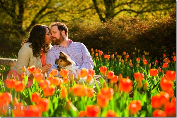 Becca-Seth-Sherwood-Gardens-Baltimore-Maryland-Engagement-Photography-0013