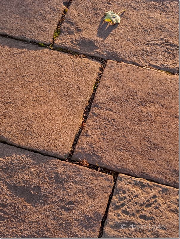 Leaf on a pavement in the village of Askrigg, Yorkshire Dales