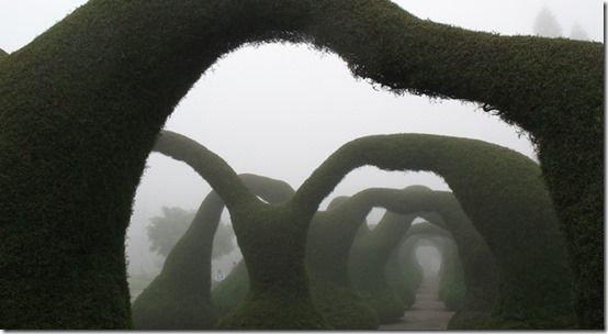 Francisco Alvarado Park, Zarcero, Costa Rica 