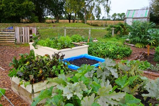 7 Raised beds and compost (1280x853)