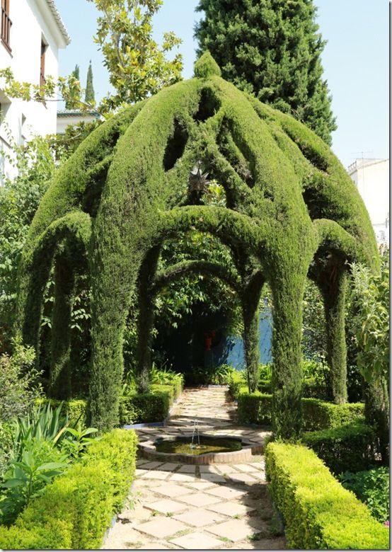 6 Cupressus gazebo 