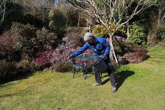 9 applying lawn fertiliser by hand