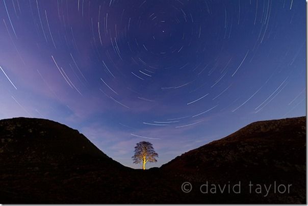 The sycamore of Sycamore Gap silhouetted against a star-filled winter's sky, Northumberland, England, exposure, automated camera modes, the Mode Dial, Dial Mode, Automatic modes, Miniature mode, Program mode, Aperture priority, Manual exposure