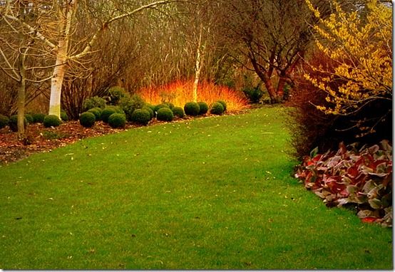 Across the Winter Garden