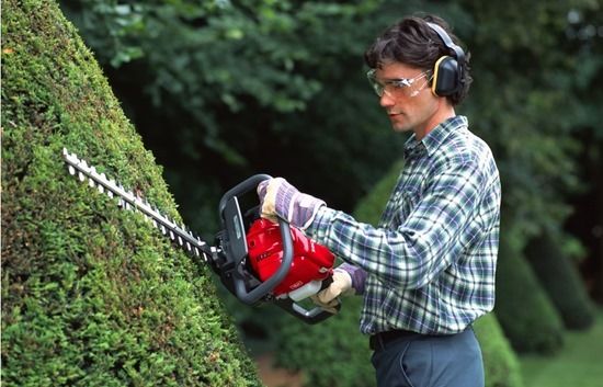 Good deals hedge trimmer