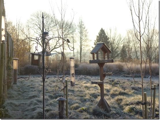 bird feeding stations
