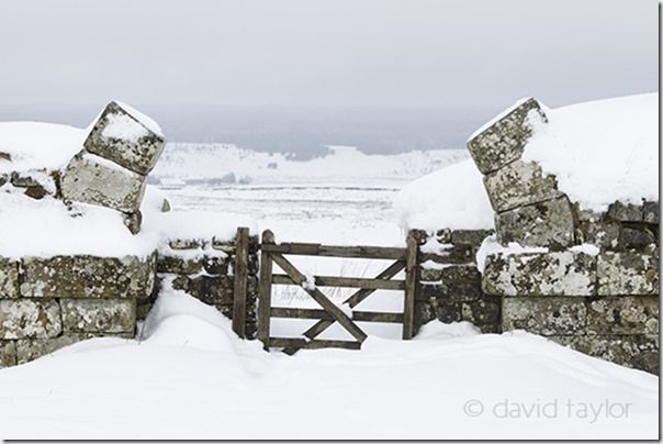 The gateway to Milecastle 37 on Hadrian's Wall covered in snow, Northumberland National Park, England, Composition, lead-in, lead in, lines, landscape, photography, landscape photography,