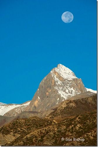 early morning moon and mountain